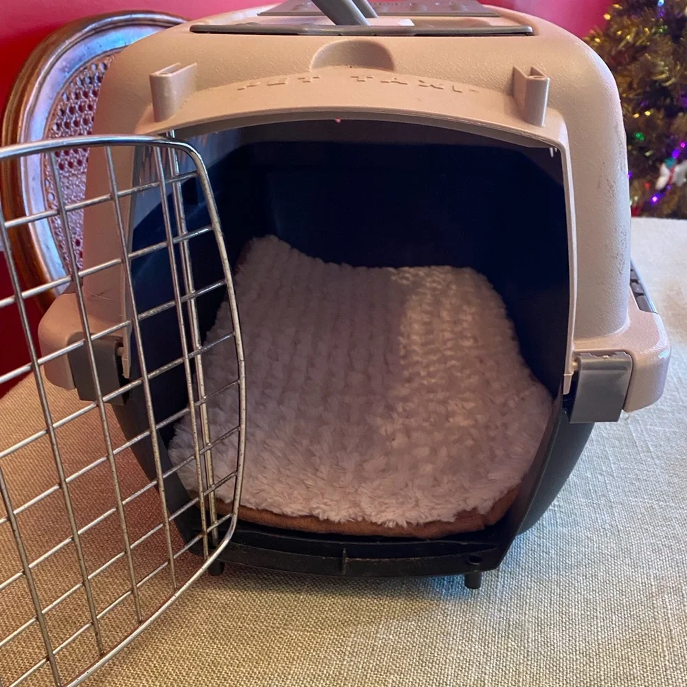 Pet Taxi Travel Kennel Carrier